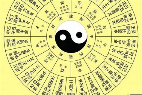 瑋意思五行|【瑋名字意思】瑋字寓意與五行解析，為寶寶取名注入美好祝願！